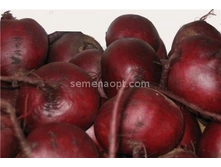 �ף��� ������� ���,(��) 5,10 ���. [���.13000034]