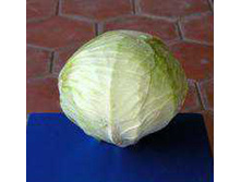 ������� ������������  �������� F1 ������������� 10�� (��) 15,00 ���. [���.6000299]