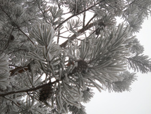 DSCN2822s.JPG