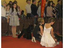 1-IMG_3942.JPG