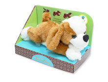 ������ �����. �����, ����. ���.,�� ���.