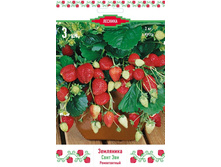 ��������� ������� ���� ���.jpg