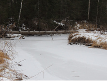 2014-11-30 10.21.27.jpg