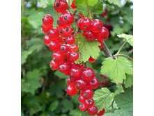 ��������� ������� ����������.jpg