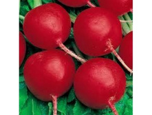 ����� �����,(��) 4,00 ���. [���.12000044]