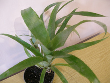 ����������+/