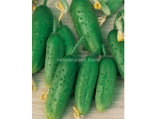 ������ �������� ����� F1 10��,(��) 15,00 ���. [���.10000187]