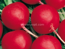 ����� ���� �������������,(��) 7,50 ���. [���.12000120]