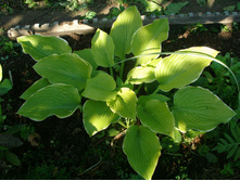 ���� ��� ���� (No1-2,No4,No5-4)