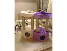 �� 1090 ��� (80��) ����� ��� ����� "������� � �������� ��������"