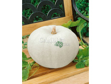 ����� ������ 6��. 9,00