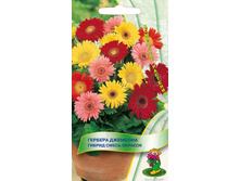 ������� �������� ������ ����� �������.jpg