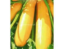 ������� ������������,10 �� (��) 3,50 ���. [���.5000035]