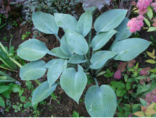 ������� (No1-1)