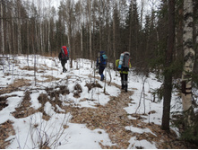 2014-11-30 10.22.59.jpg