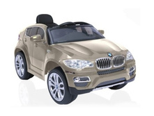 ������������� BMW X6 (Champagne metallic) ��������, ���� 11490 �.jpeg