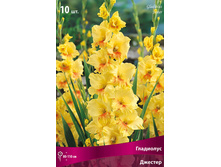 ��������� �������.jpg