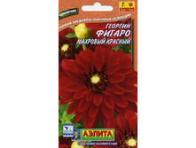 �������� ������ ������� ����������� ,(��) 13,00 ���. [���.3005051]