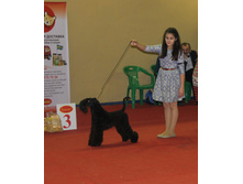 1-IMG_4020.JPG