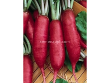 ������ �������,(��) 2,70 ���.