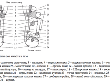 skrinshot_2014-03-19_19_23_22.png