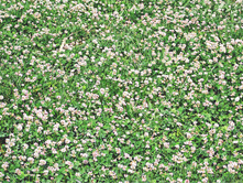 ����� ���������� ������������ (3��) 845,30 ���. ���.