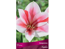 ��������� �������.jpg