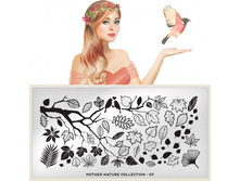 mother nature-07.jpg