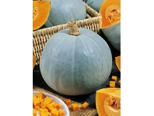 ����� �������� ����� �������������,(��)4,00 ���. [���.15000030]