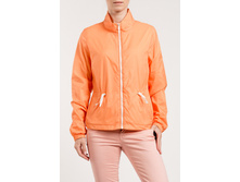 WB 9513 (T W9513.22) ��������  39 ��