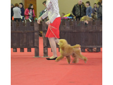 DSC_0494.JPG