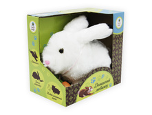 ������ ����� � ���������, �����., ������.,���., ���. ��. 23*13*24 ��