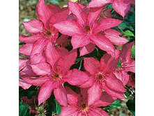 �������� ��������������� �������.jpg