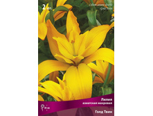 ����� ���� ����.jpg