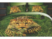 ������ - ��������