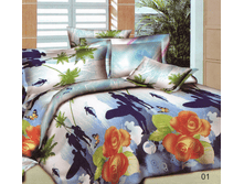 ����-����� 01  �������: Z-M3-01