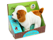 ������ �����. ����, �� ���.