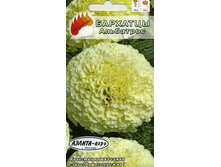 �������� ��������� ������������ �������.,(��)10,00 ���. [���.3003551]