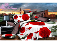 ���� �� ����� 2-�-�������� 3D.jpg