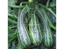 ������� ����� ������� ���������,(��) 6,00 ���. [���.5000108]