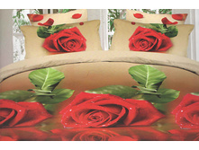 ���� ����������- ��������