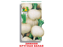 ������ ������ ������� �����.jpg