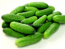 ������ ������ F1 ������������������ 10��,(��) 9,00 ���. [���.10000479]