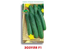 ������ ������ F1.jpg