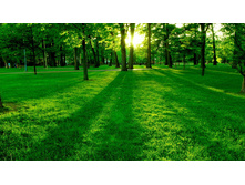 ����������(1��)������-�������� 215,40 ���.