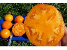 ����� ������� ������ ������,(��) 6,00 ���. [���.14000892]