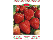 ��������� ������� ������.jpg