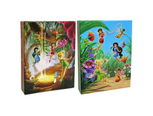 128,84���. ��� 65546 ���������� 100� Pioneer LM-4R100 w-d fairies 14828.jpg