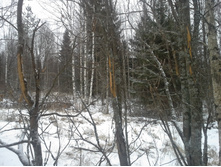 20141207_121005.jpg