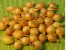 ���-����� ����������� �����.jpg